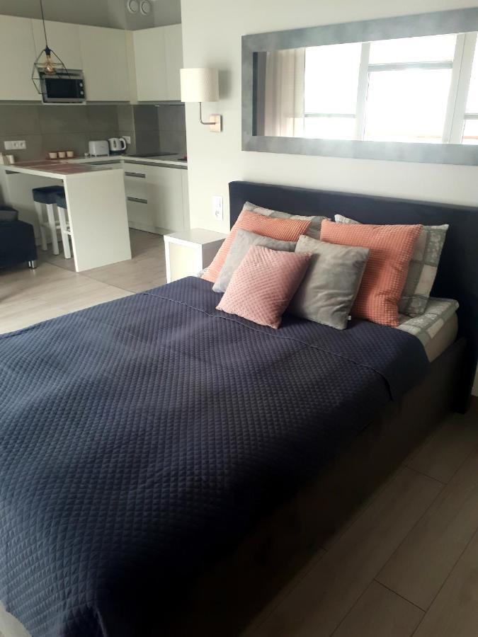 Apartament Pudrowy دارووفكو المظهر الخارجي الصورة